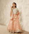 Pre-Order: Green Chanderi Choli with Lehenga