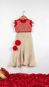 Pre-Order: Red Dori Embroidered Top with Palazzo