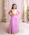 Pre-Order: Pink Brocade Choli with Lehenga