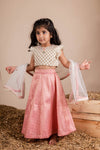 Pre-Order: Pink Brocade Ghaghra Set