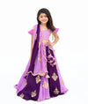Pre-Order: Lilac & Purple Embroidered Lehenga Set
