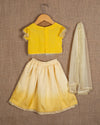 Pre-Order: Yellow Moti Lines Top with Shaded Lehenga and Dupatta
