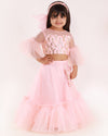 Pre-Order: Pink Embroidered Top with Ghagra and Pouch