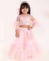 Pre-Order: Pink Embroidered Top with Ghagra and Pouch
