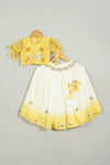 Pre-Order: Yellow Shaded Ghagra with Embroidered Blouse Set