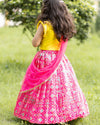 Pre-Order: Pink Ikkat Ghagra Set