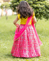 Pre-Order: Pink Ikkat Ghagra Set