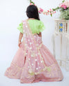 Pre-Order: Peach Chanderi Lehenga with Green Choli and Pink Dupatta