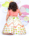 Pre-Order: White Lehenga with Peach Choli