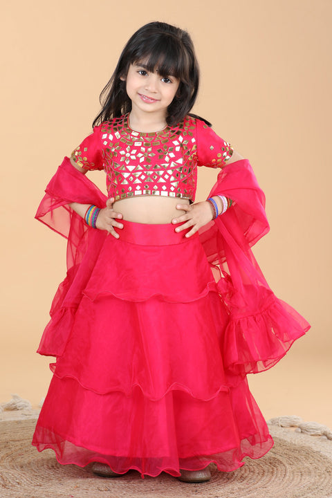 Pre-Order: Organza lehenga with leather patching