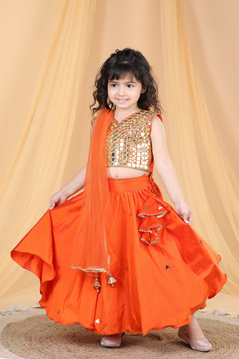 Pre-Order: Mirror work blouse with silk Lehanga and net Dupatta