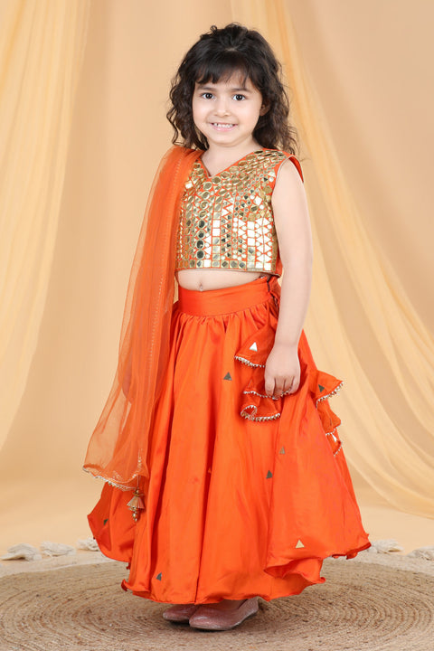 Pre-Order: Mirror work blouse with silk Lehanga and net Dupatta