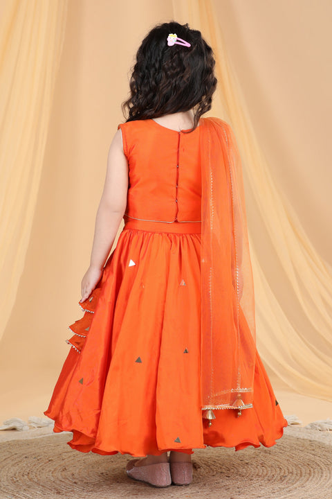 Pre-Order: Mirror work blouse with silk Lehanga and net Dupatta