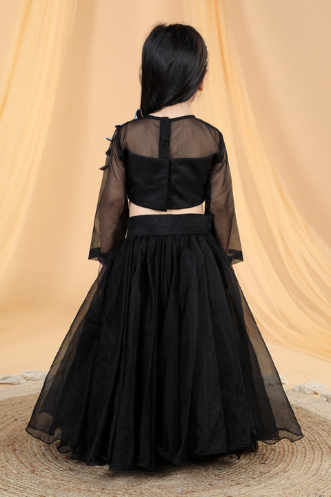 Pre-Order: Organza Lehenga with 3d sequence butterfly