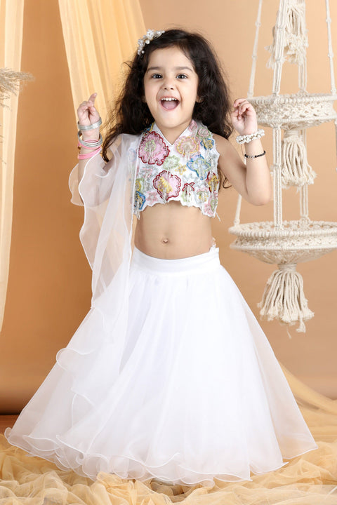 Pre-Order: Heavy Embroidered blouse with organza lehenga