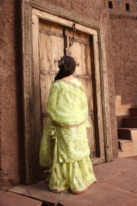 Pre Order: Pista Green Embroidery Kurti Sharara