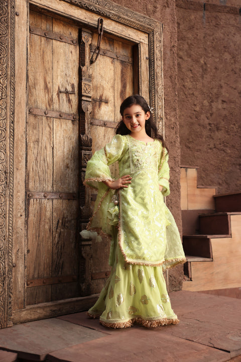 Pre Order: Pista Green Embroidery Kurti Sharara