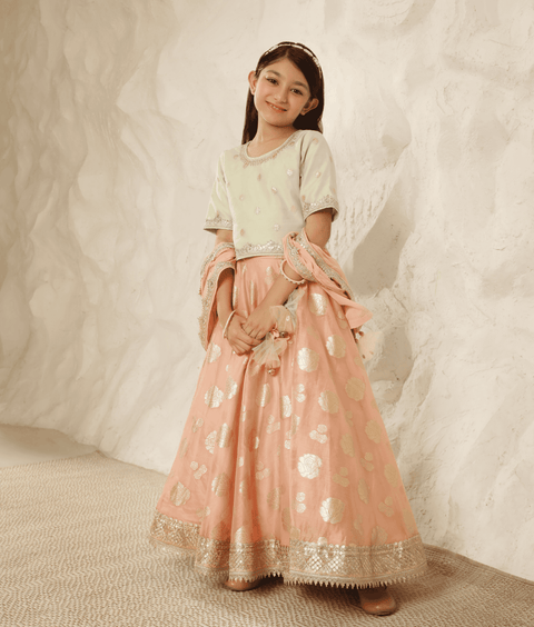 Pre-Order: Green Chanderi Choli with Lehenga