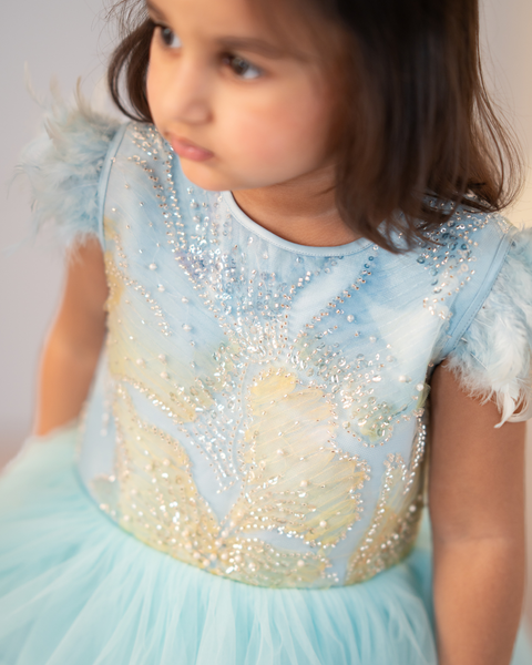 Pre-Order: Blue floral tulle dress