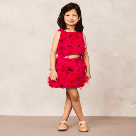 Pre-Order: Pink Net Skirt and Top Combo