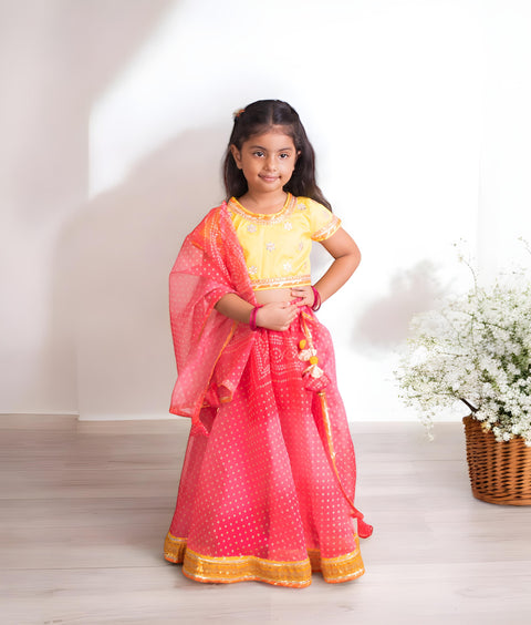 Pre-Order: Pink Organza Lehenga Choli Set