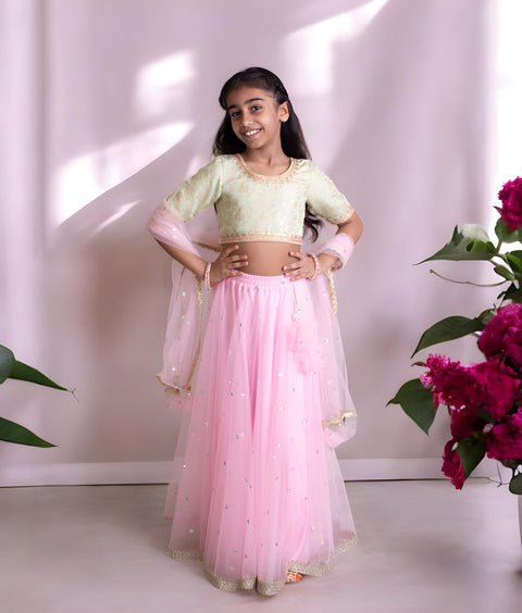 Pre-Order: Green Brocade Choli with Lehenga