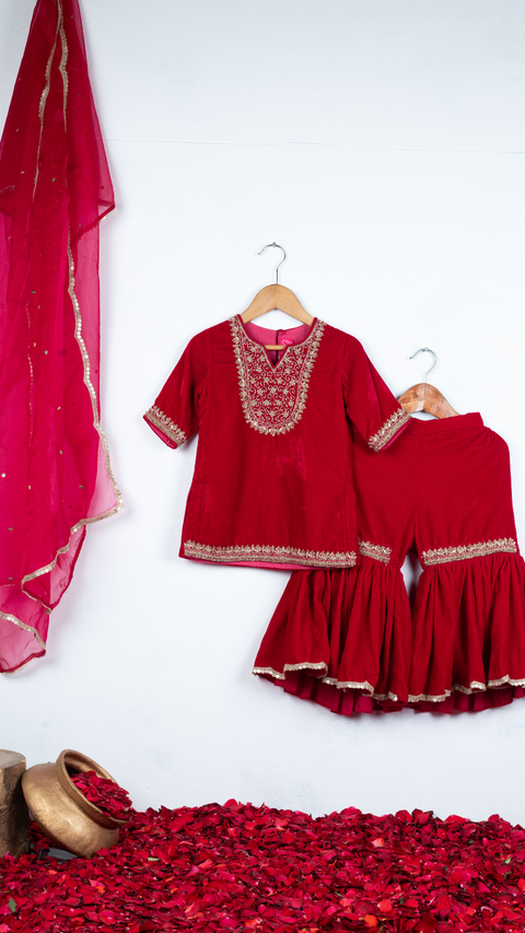 Pre-Order: Rani Pink Velvet Sharara Set