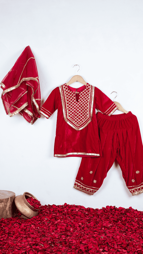 Pre-Order: Rani Pink Embroidered Patiala Set