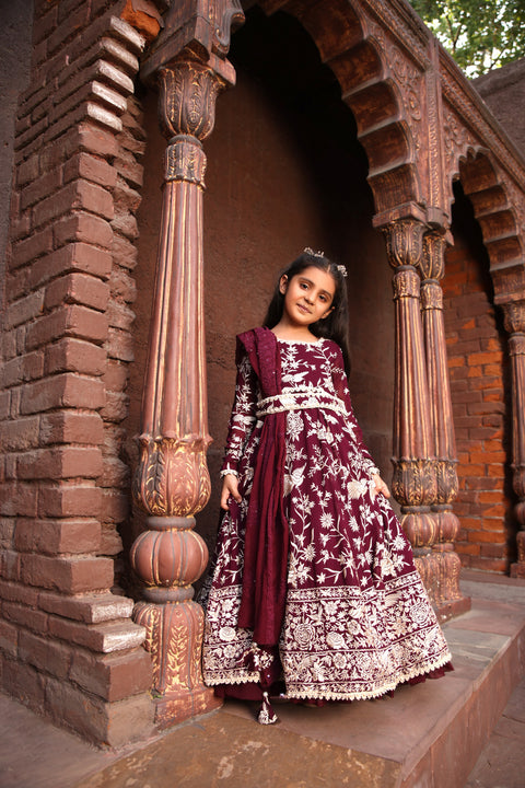 Pre Order: Burgandy Parsi work Anarkali