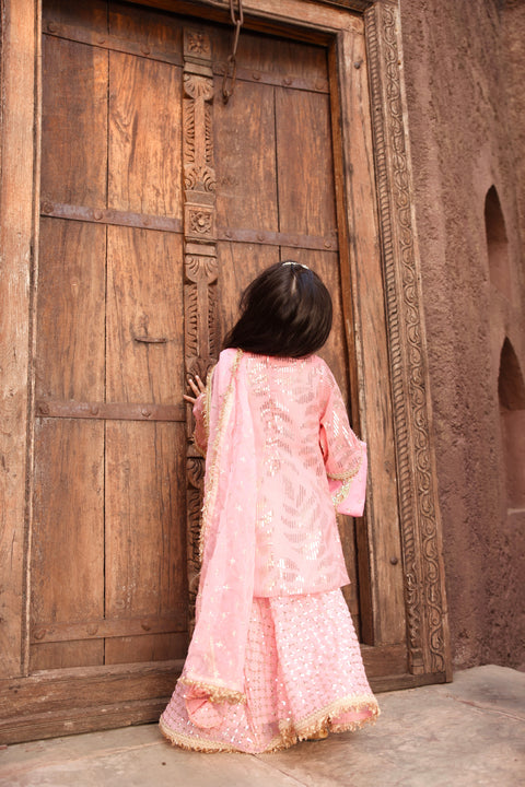 Pre Order: Peach Sequence Embroidery Kurti Sharara