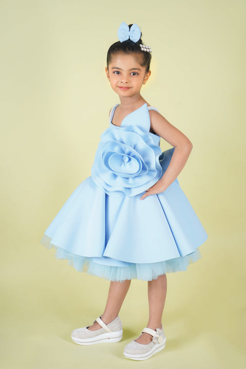 Pre-Order: Sophie Net Dress