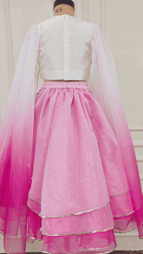 Pre-Order: Pink Ombre Shaded Embroidered Flower Ghaghra