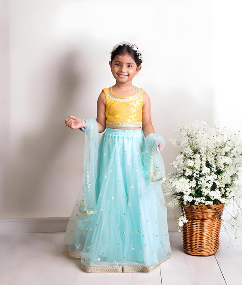 Pre-Order: Yellow Brocade Choli with Lehenga