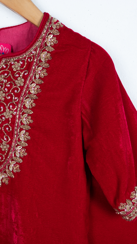 Pre-Order: Rani Pink Velvet Sharara Set