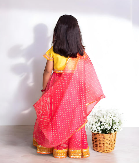 Pre-Order: Pink Organza Lehenga Choli Set