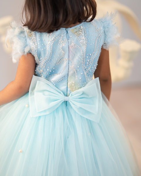 Pre-Order: Blue floral tulle dress