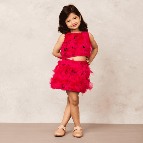 Pre-Order: Pink Net Skirt and Top Combo