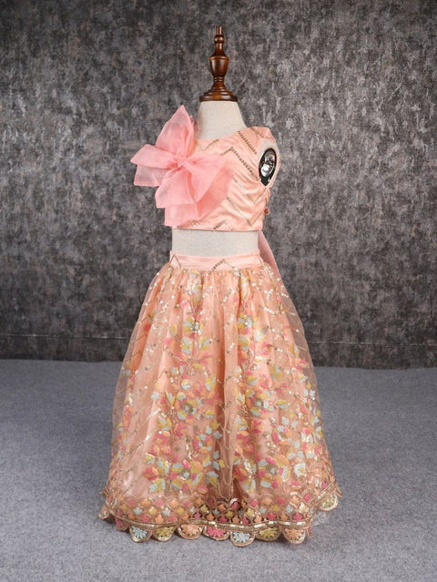 Pre-Order: Classy Multicoloured Embroidered Lehenga