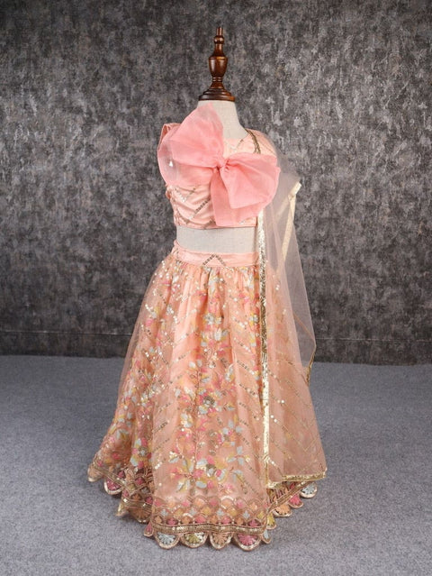 Pre-Order: Classy Multicoloured Embroidered Lehenga