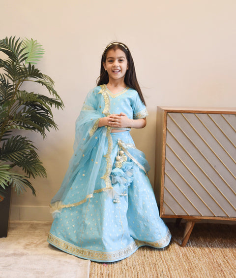 Pre-Order - Blue Chanderi Choli with Lehenga  for Girls