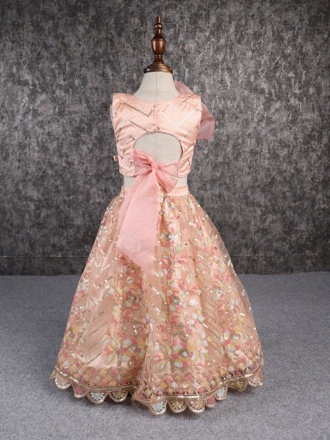 Pre-Order: Classy Multicoloured Embroidered Lehenga