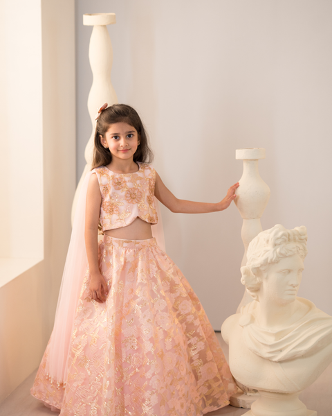 Pre-Order: Pink Jacquard Lehenga set