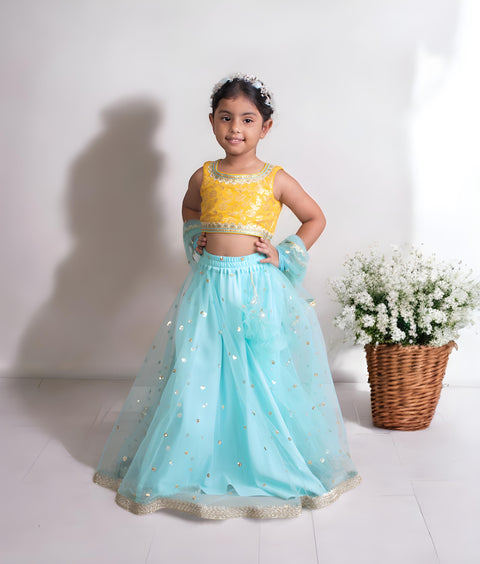 Pre-Order: Yellow Brocade Choli with Lehenga
