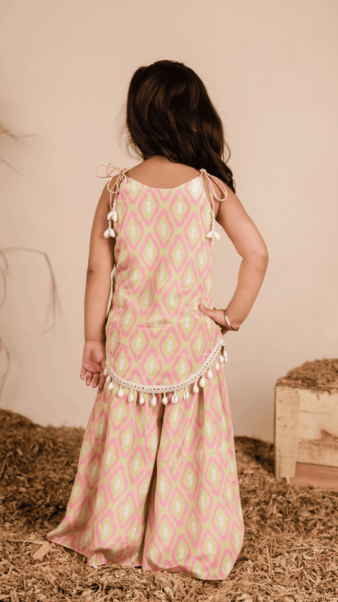 Pre-Order: Pink Green Ikkat Plazzo Set