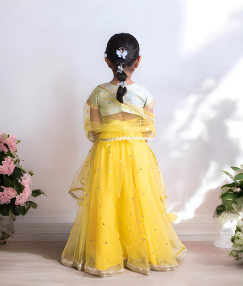 Pre-Order: Blue Brocade Choli with Lehenga