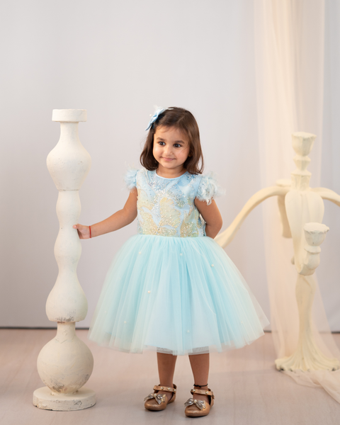 Pre-Order: Blue floral tulle dress