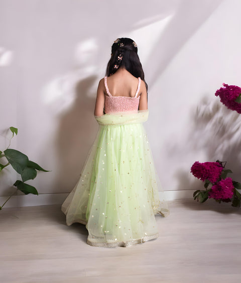 Pre-Order: Peach Brocade Choli with Lehenga