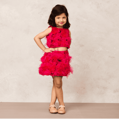 Pre-Order: Pink Net Skirt and Top Combo