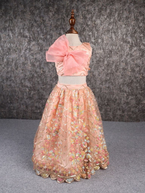 Pre-Order: Classy Multicoloured Embroidered Lehenga