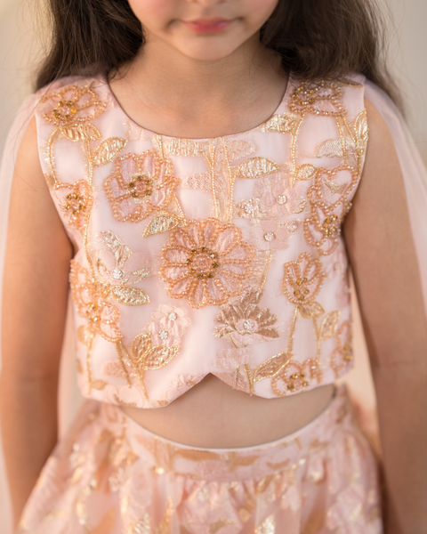 Pre-Order: Pink Jacquard Lehenga set